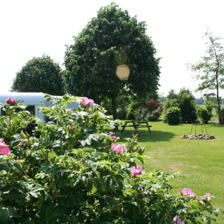 Luftaufnahme von Boerderijcamping Beekdal in der Landschaft des Hondsrug