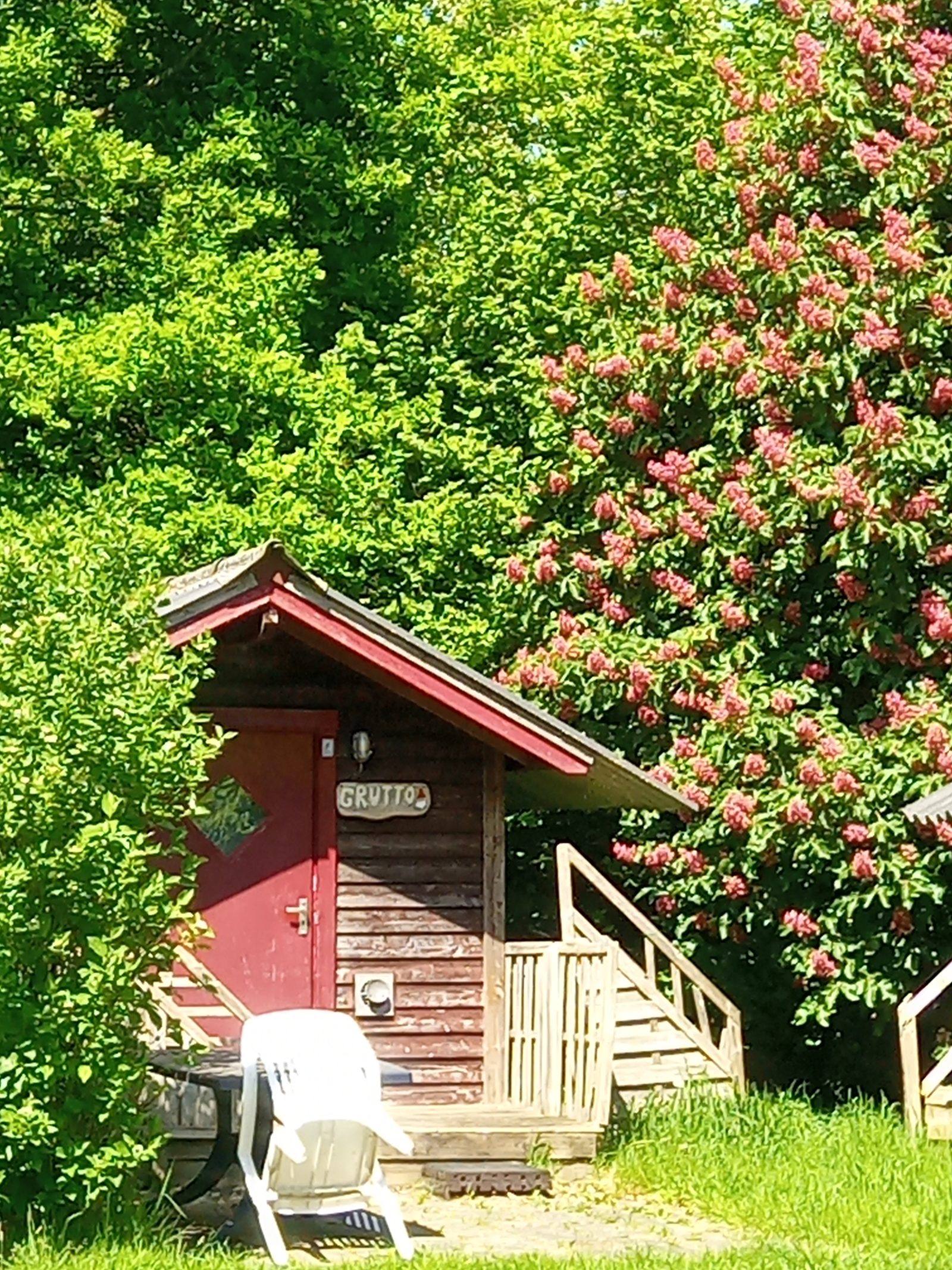Bauernhofcamping Het Amerveld Foto 2