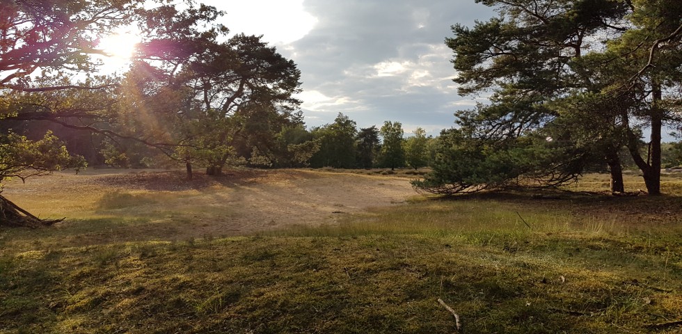 Campingplatz de Berken