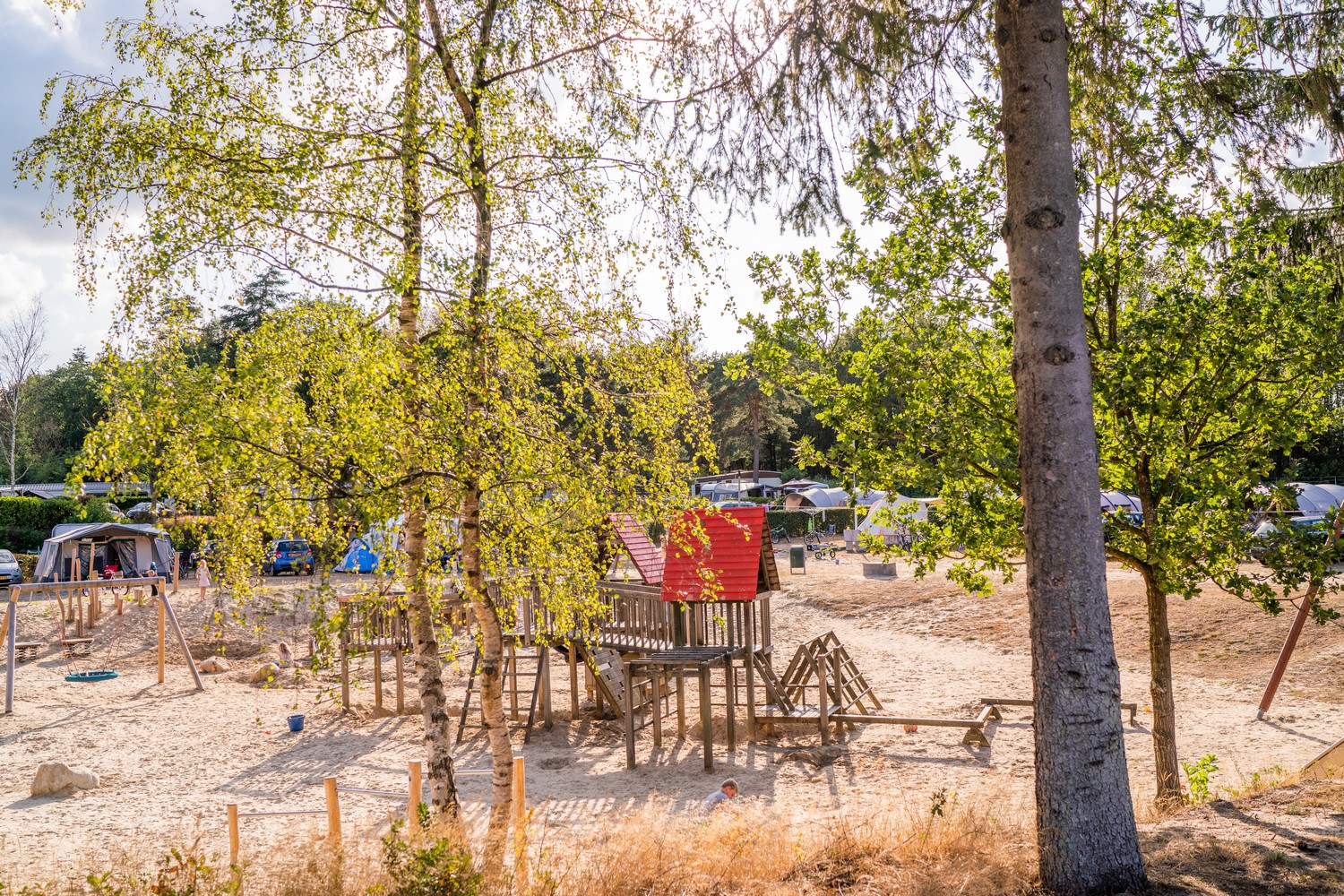 Campingplatz de Hondsrug Foto 2