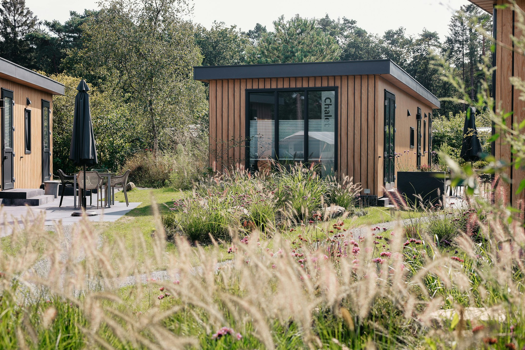 Großzügig angelegte Stellplätze im Grünen auf Camping de Norgerberg bei Norg