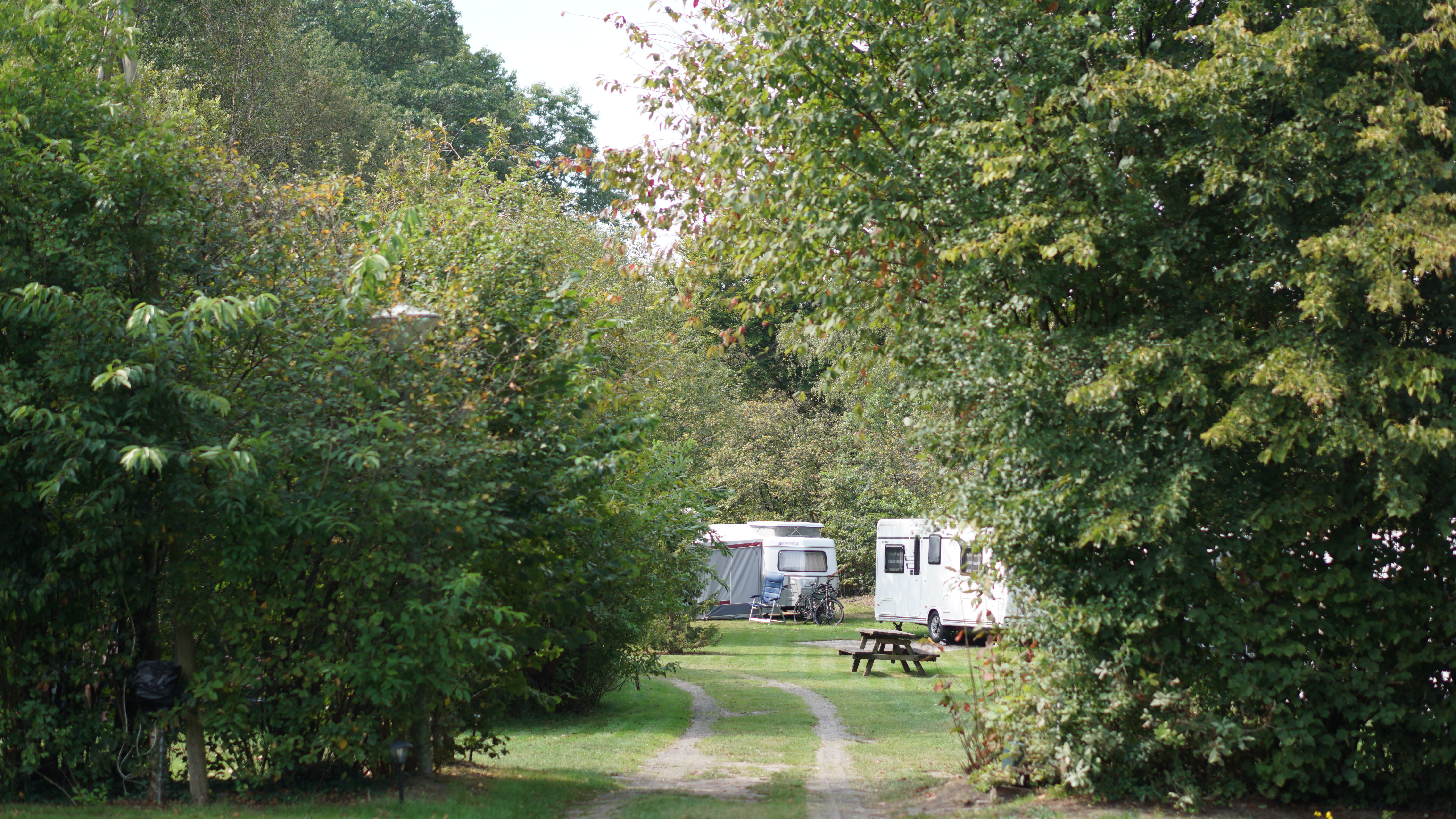 Campingplatz de Olde Bargen Foto 1