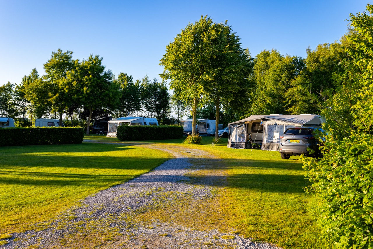 Abendsonne über den Campingwiesen mit Wohnwagen und Hecken auf Campingplatz de Oosterweide in Pesse in Drenthe