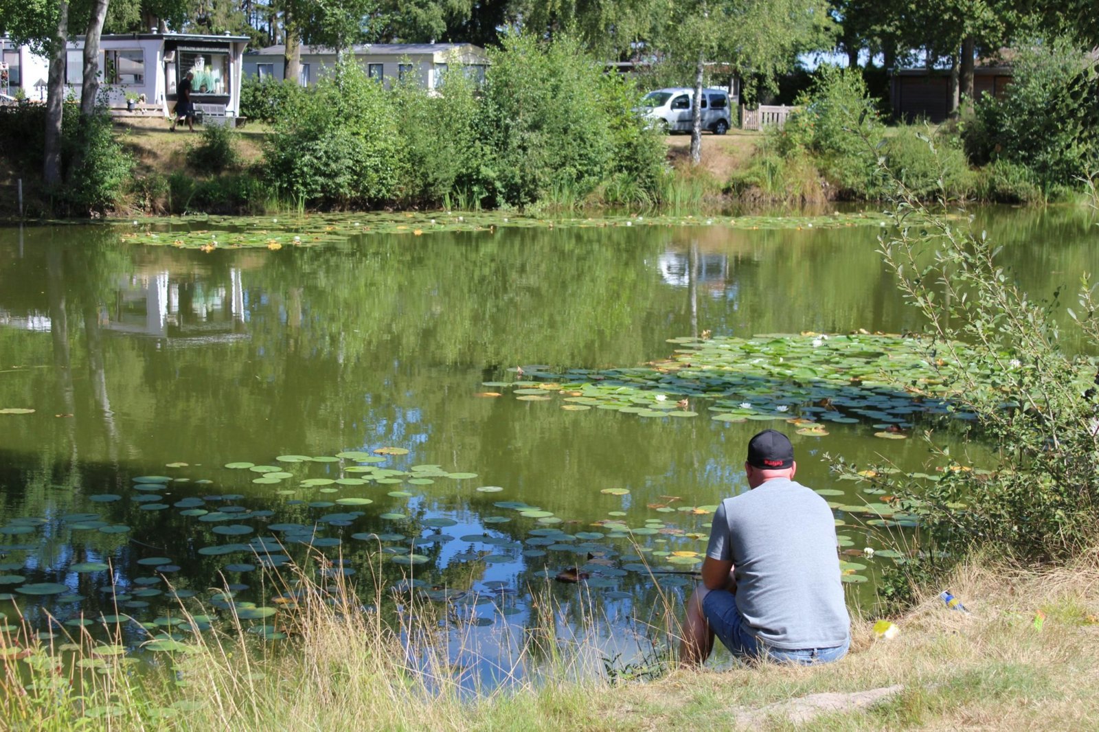 Angelteich mit Seerosen auf Camping De Otterberg in Wijster, Mittel-Drenthe