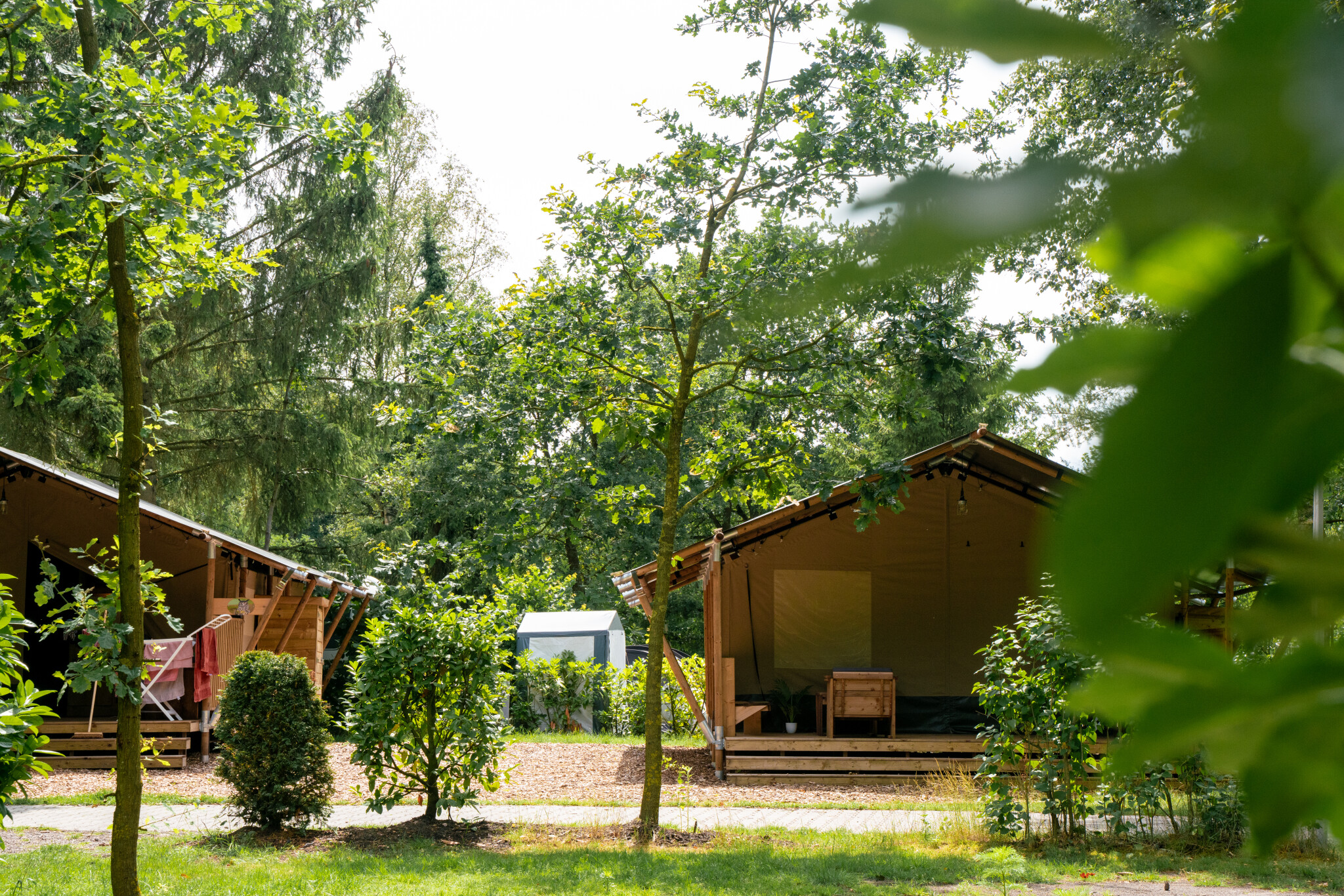 Campingplatz De Zeven Heuveltjes Foto 2