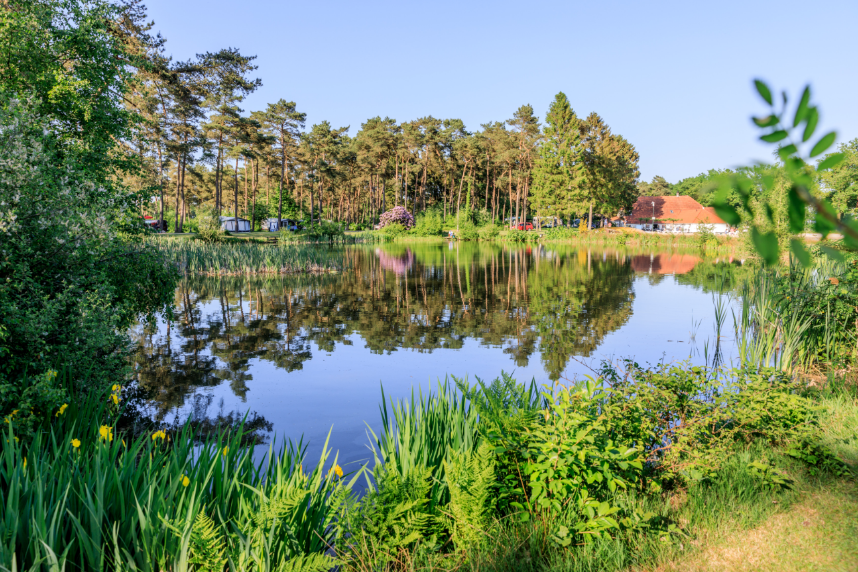 Campingplatz Diana Heide Foto 2