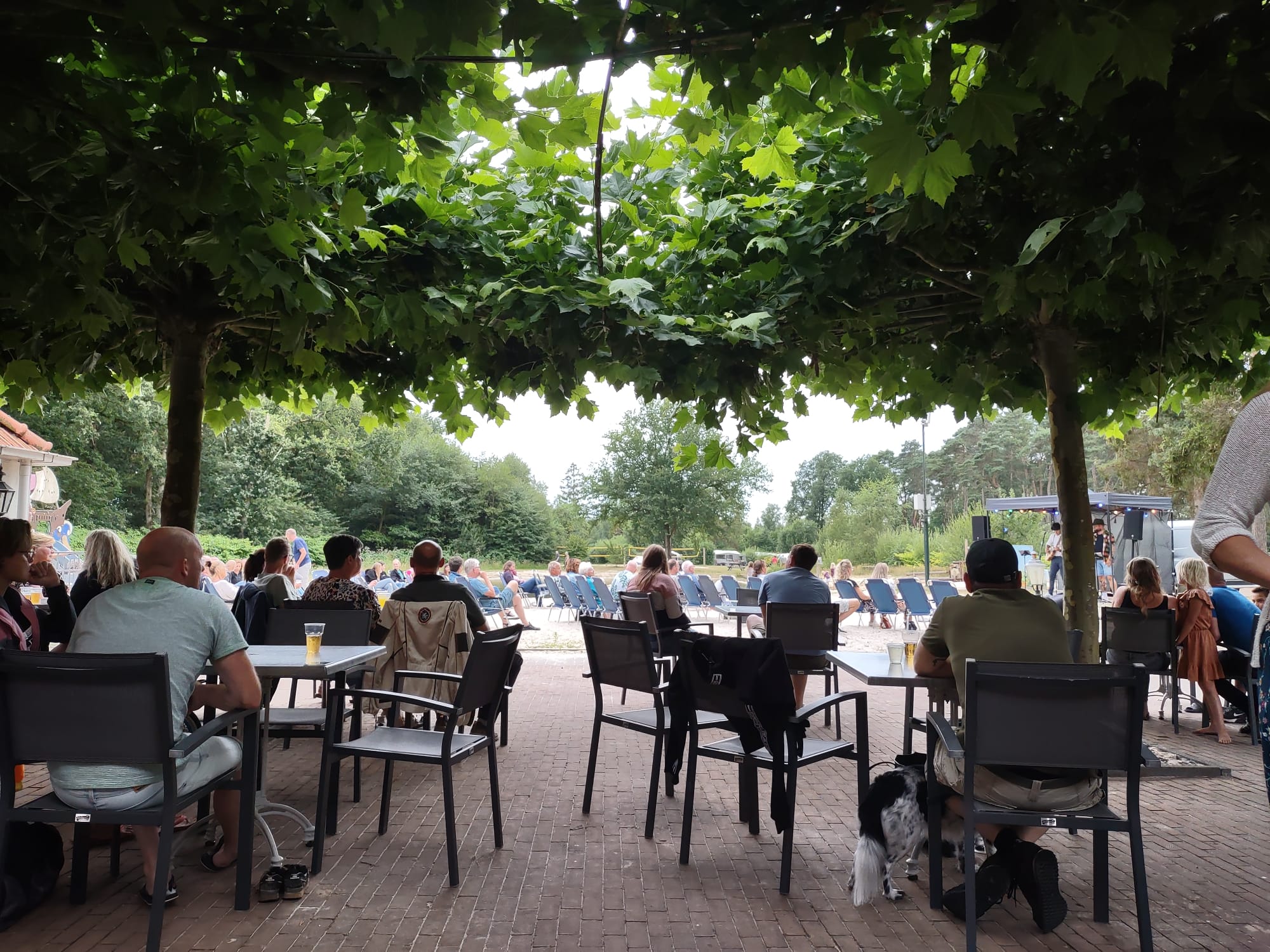 Campingplatz Diana Heide Foto 3
