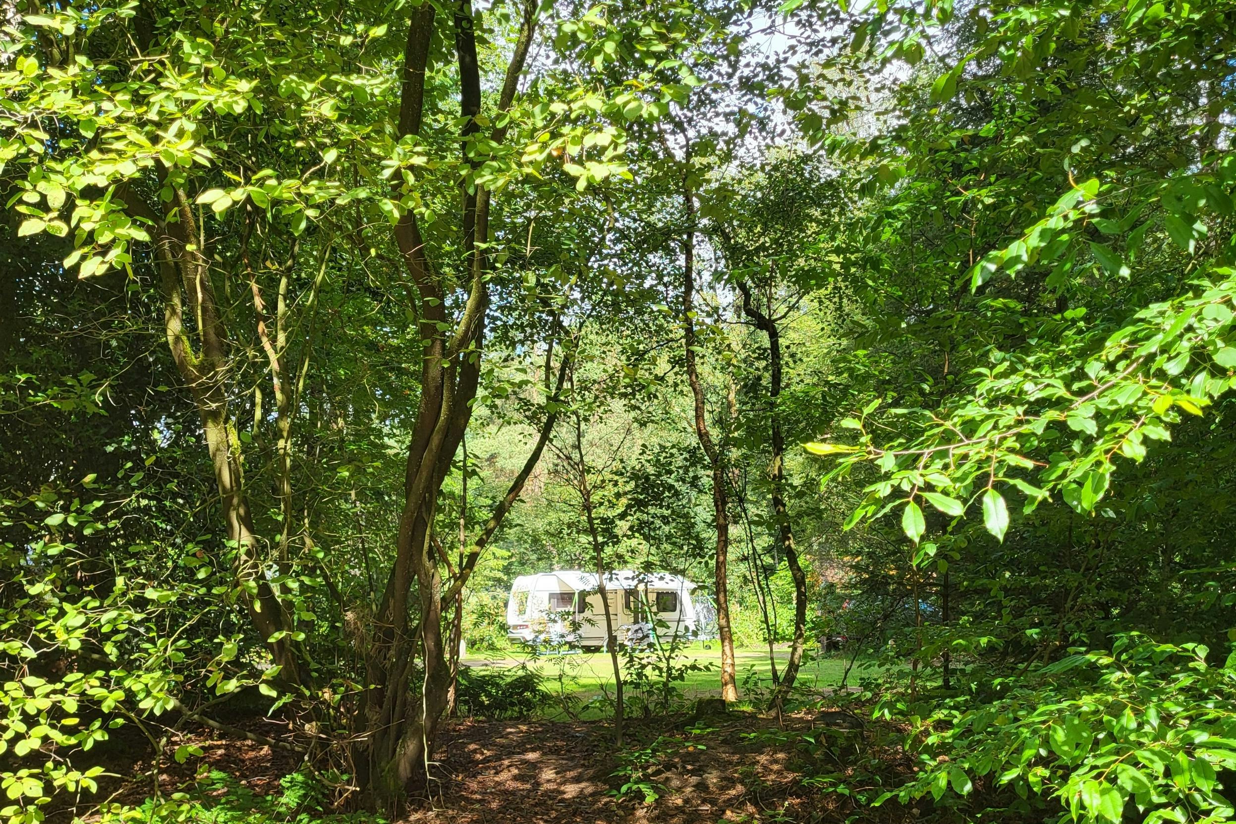 Autofreier Waldcampingplatz Camping Diever am Drents-Friese Wold