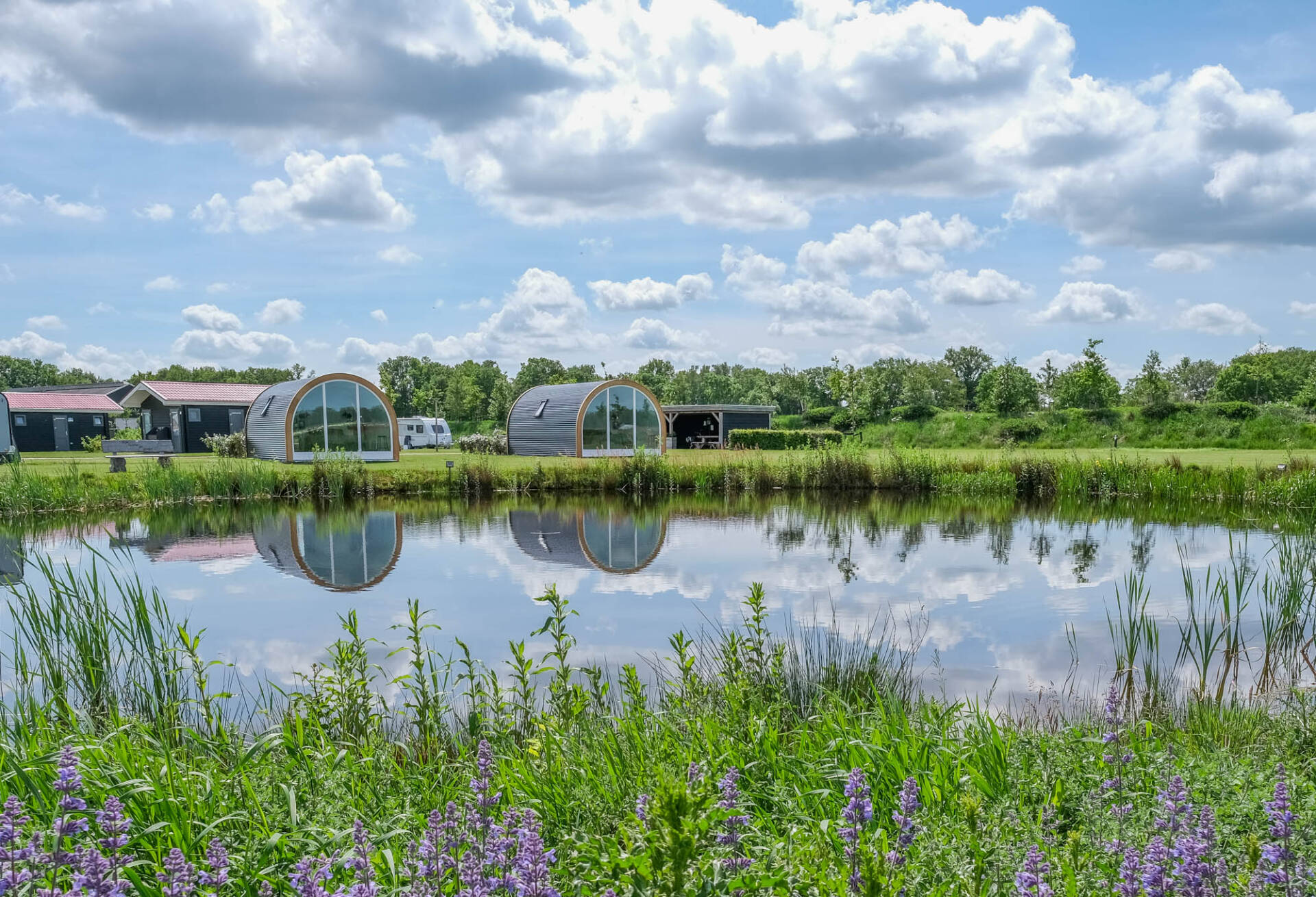Campingplatz Het Noordenveld Foto 4