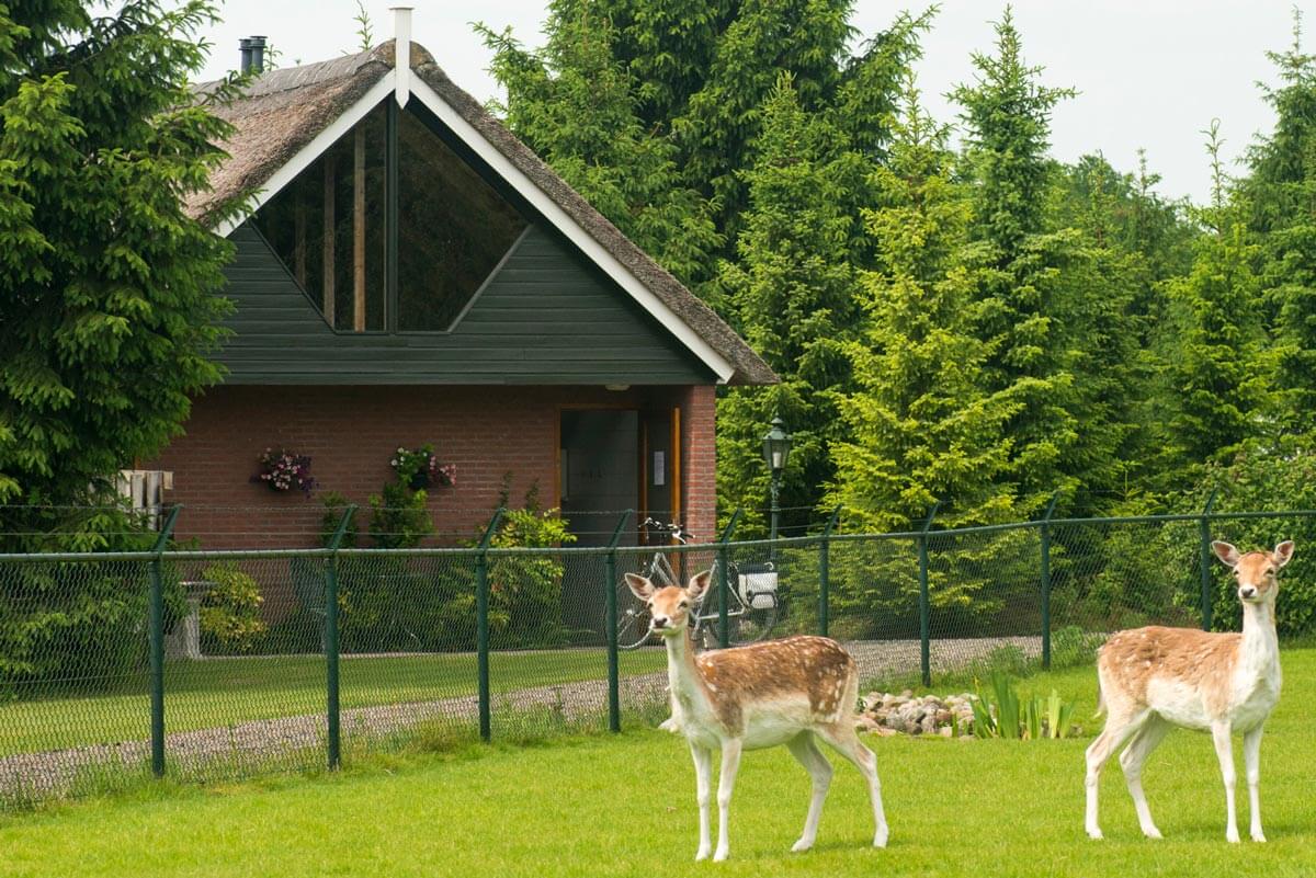 Campingplatz Landgut Tolhek Foto 3