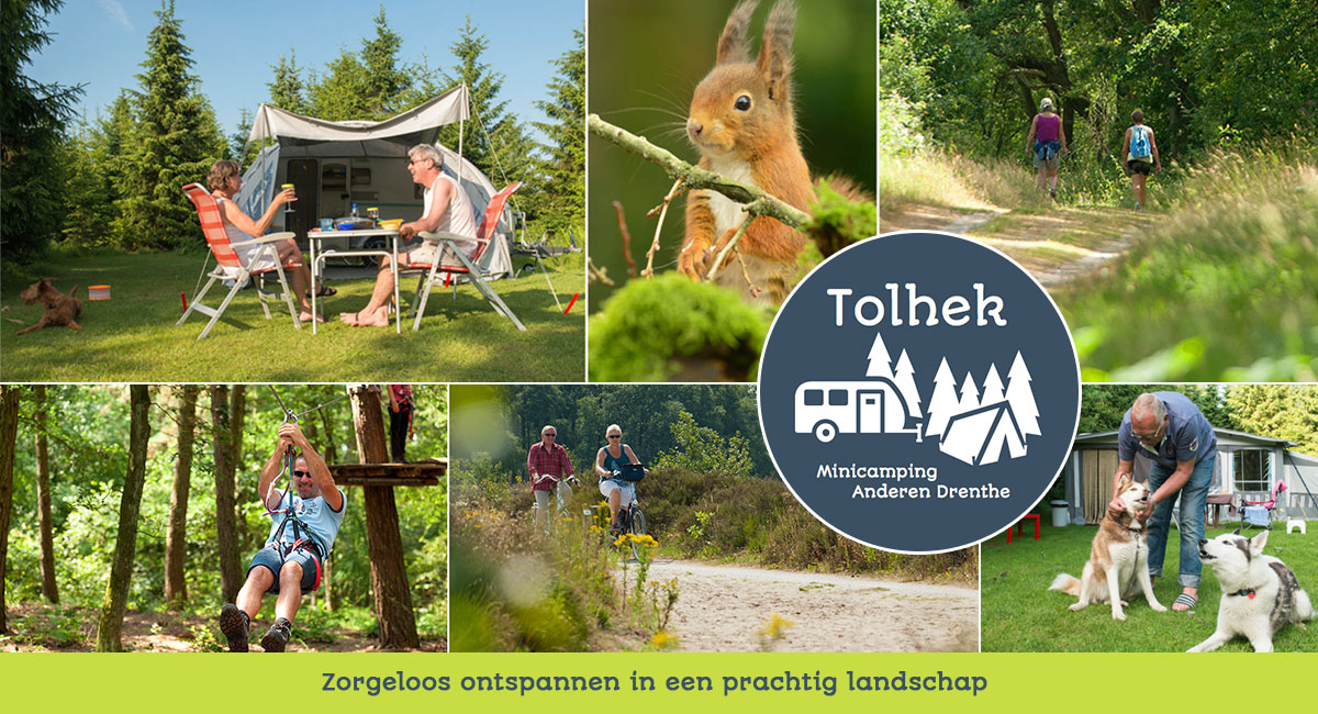 Logo Campingplatz Landgut Tolhek