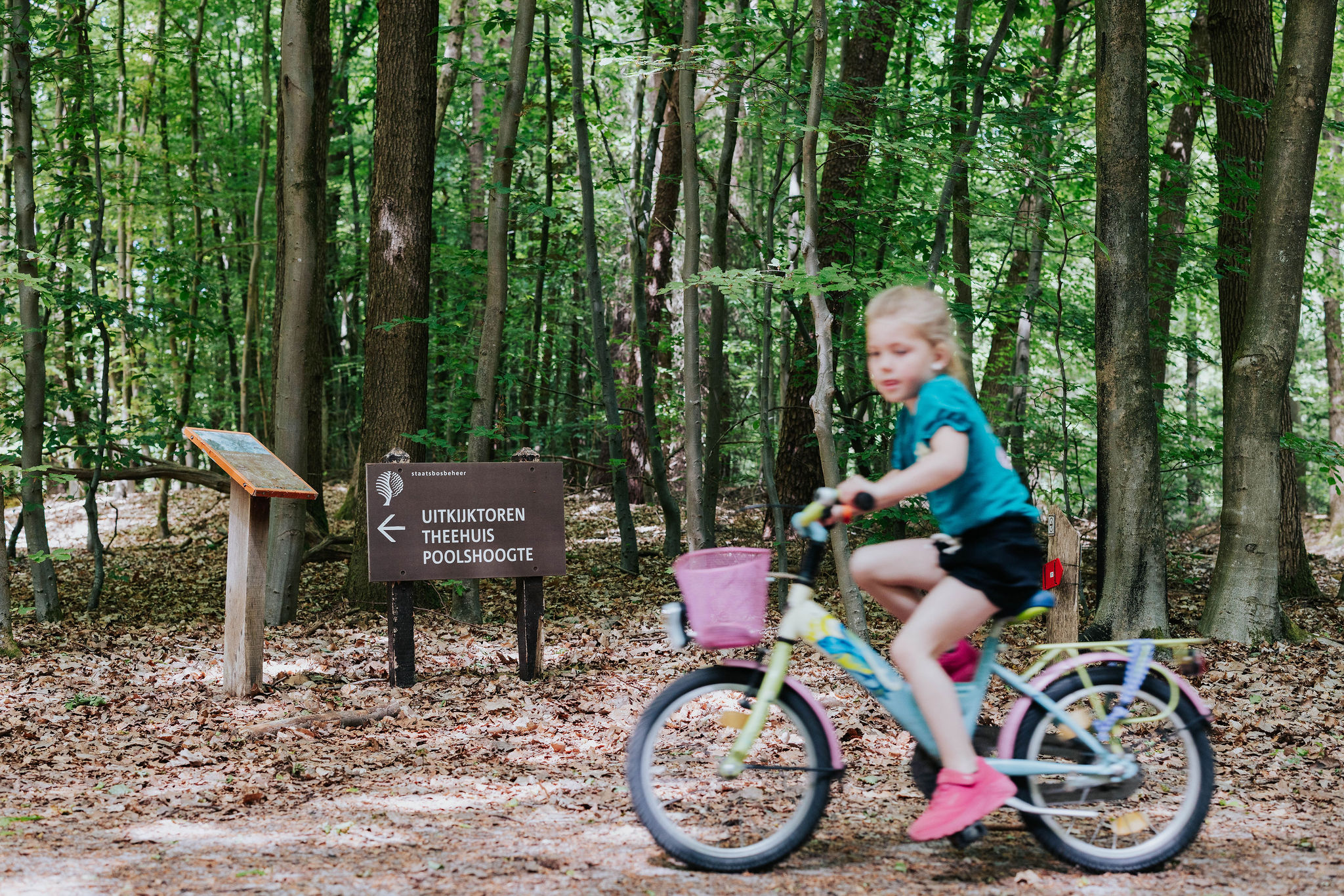 Schlichtes Naturcamping zwischen den Bäumen auf einem Naturcampingplatz in Drenthe