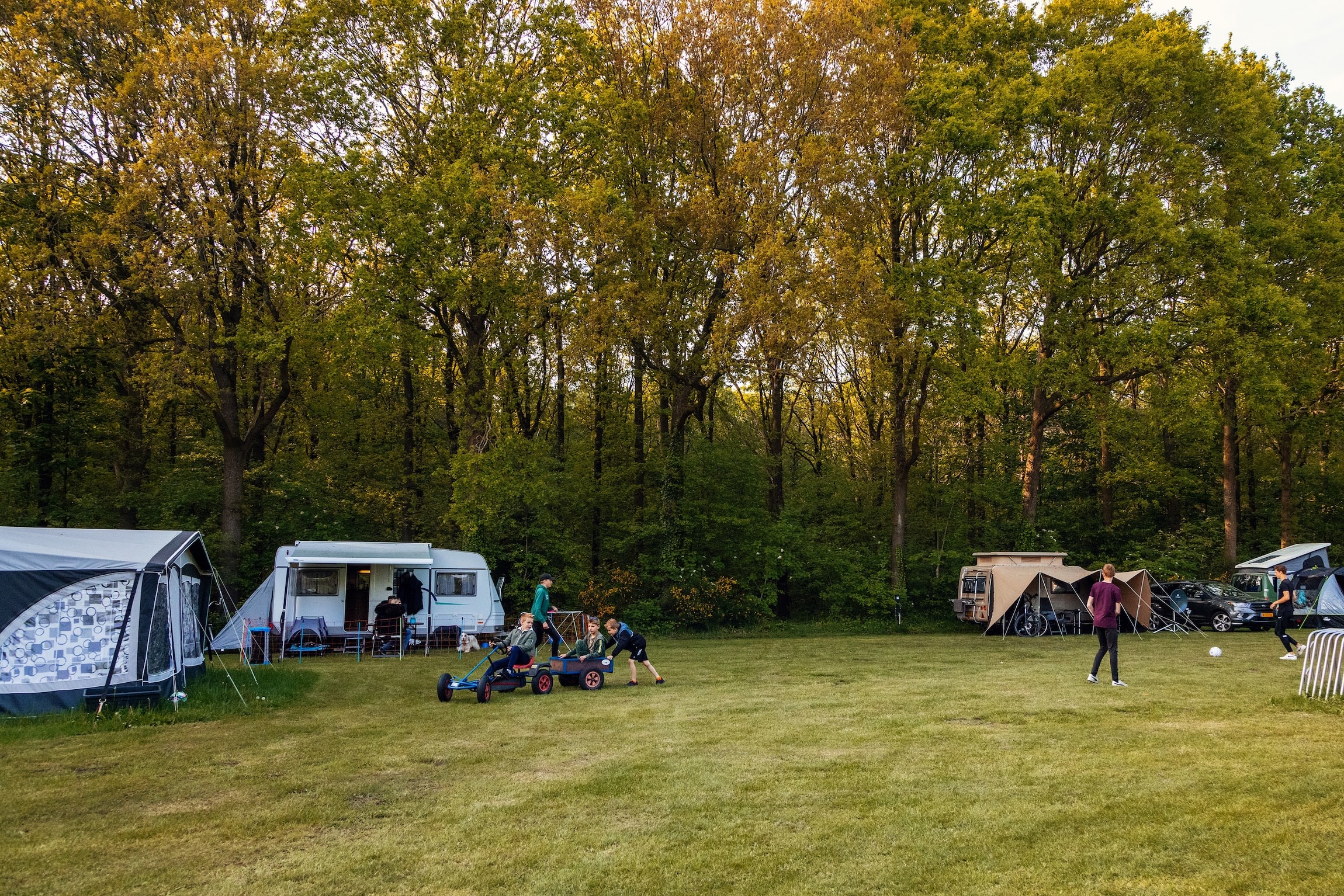 Campingwiese mit Zelten und Wohnwagen im Abendlicht am Waldrand auf Campingplatz Tikvah bei Hooghalen in Drenthe