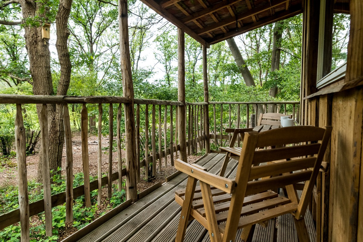 Veranda eines Baumhauses hoch zwischen den Bäumen auf Camping Torentjeshoek in Dwingeloo