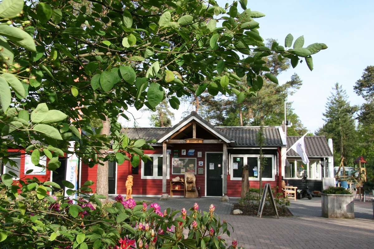 Campingplatz Torentjeshoek Foto 4