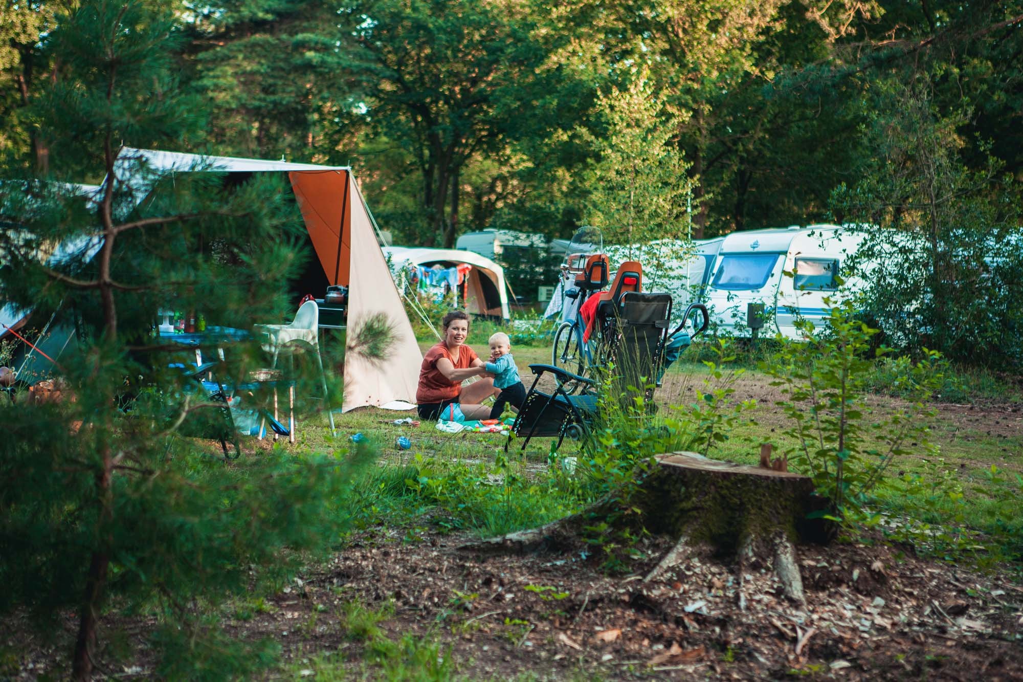 Camping zwischen den Bäumen auf dem autofreien Waldgelände von De Berenkuil in Grolloo