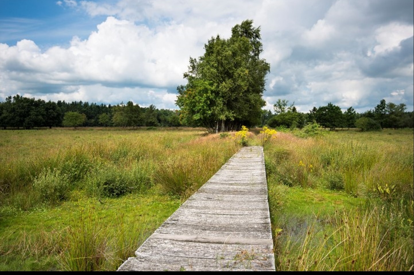 De Goede Weide Recreatie Foto 3