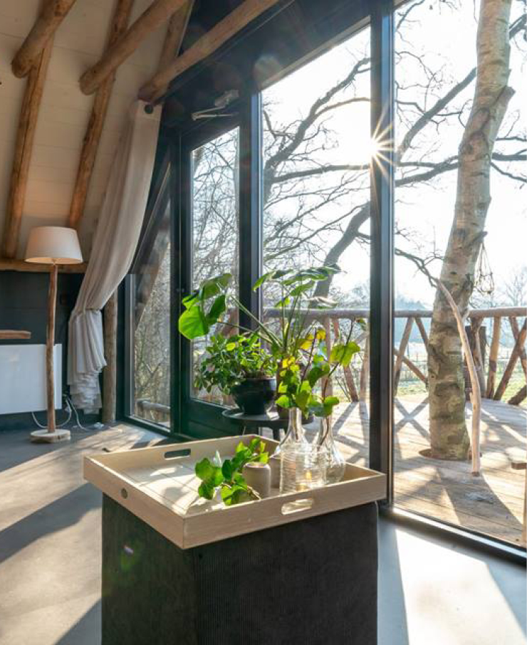 Innenraum des Baumhauses XXL mit großen Fenstern und Baum durch die Terrasse auf d'Olde Kamp in Ansen