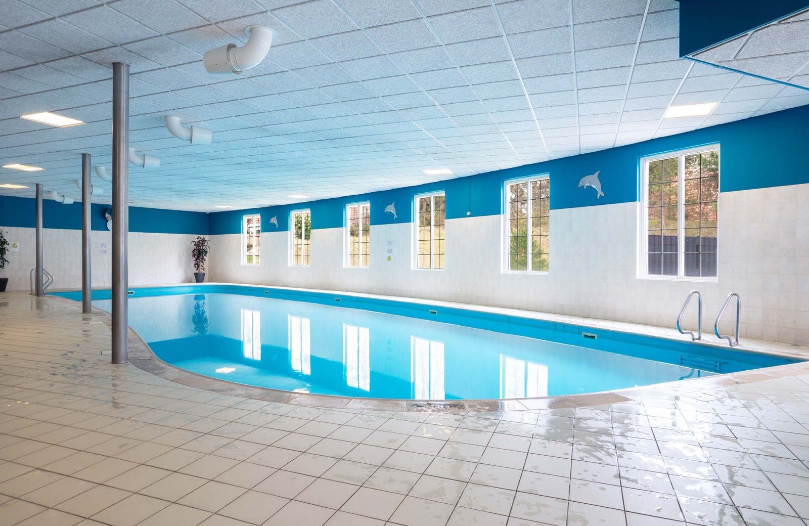Beheiztes Hallenbad auf dem Landgut 't Wildryck in Dieverbrug, Drenthe