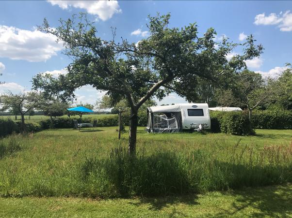 Landschapscamping Het Veentieshof Foto 1