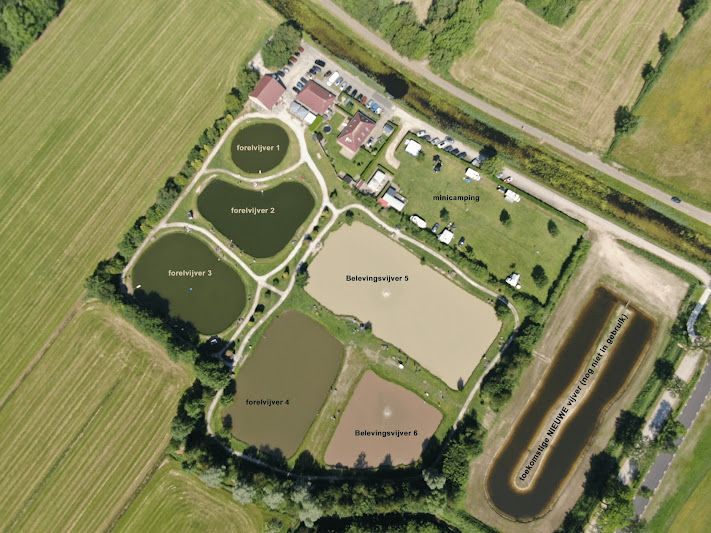 Forellenteiche bei einer Kleincamping in Drenthe
