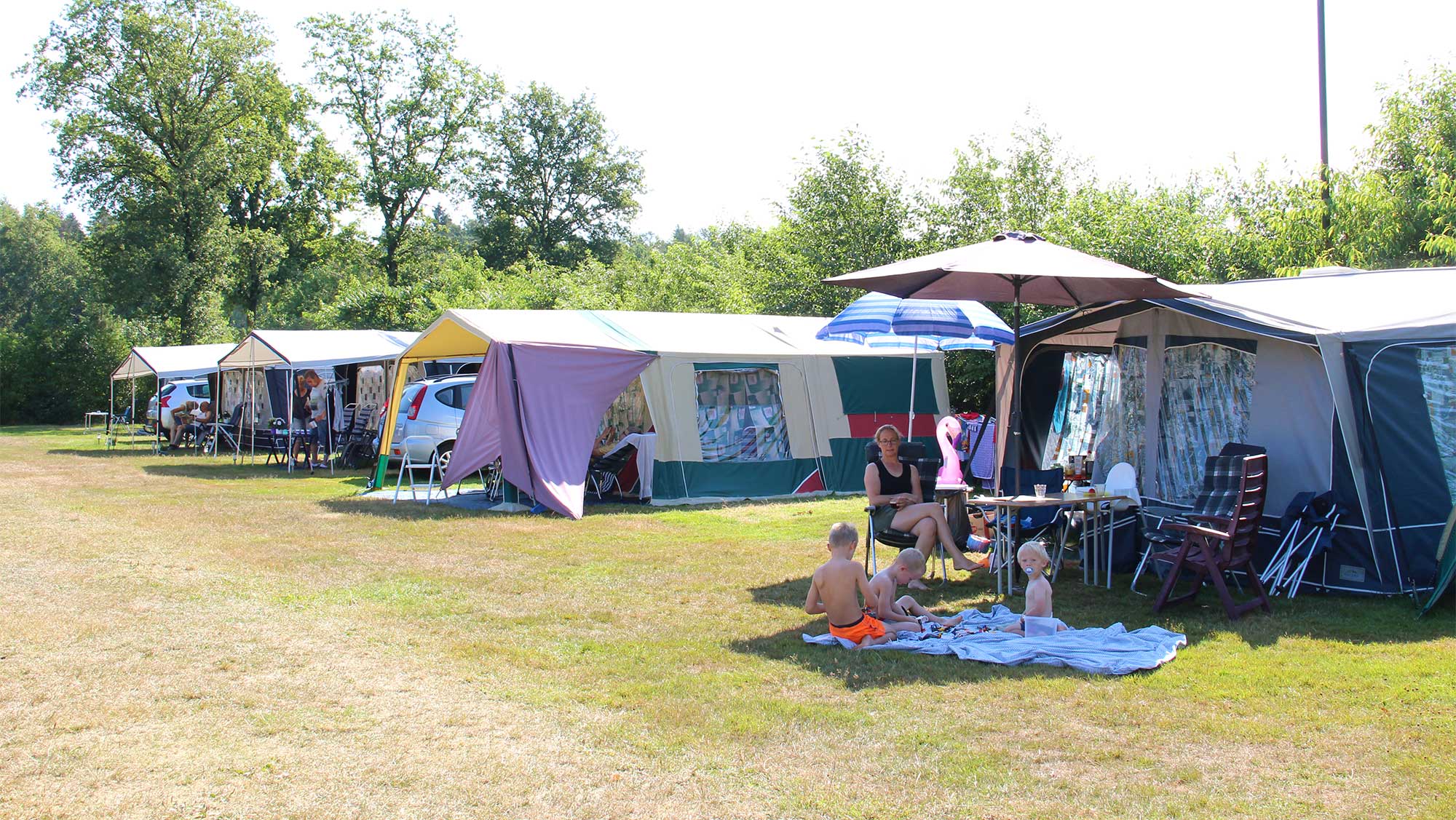 Molecaten Park Het Landschap Foto 1