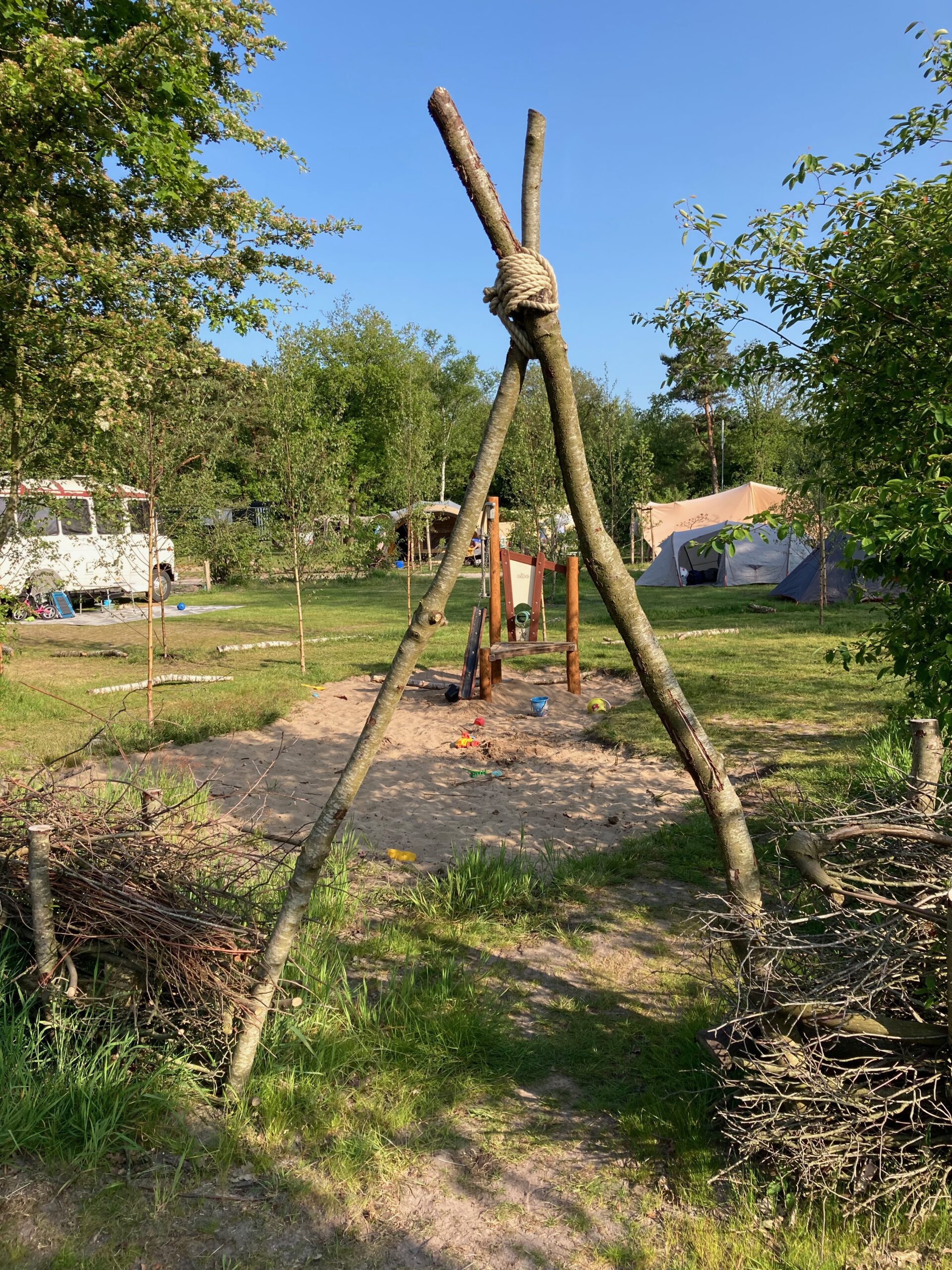 Zelte auf einer Wiese mit jungen Bäumen und Sandspielplatz auf Naturcamping De Blauwe Haan in Uffelte in Drenthe