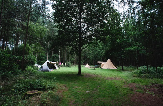 Naturcampingplatz De Dennen Foto 3