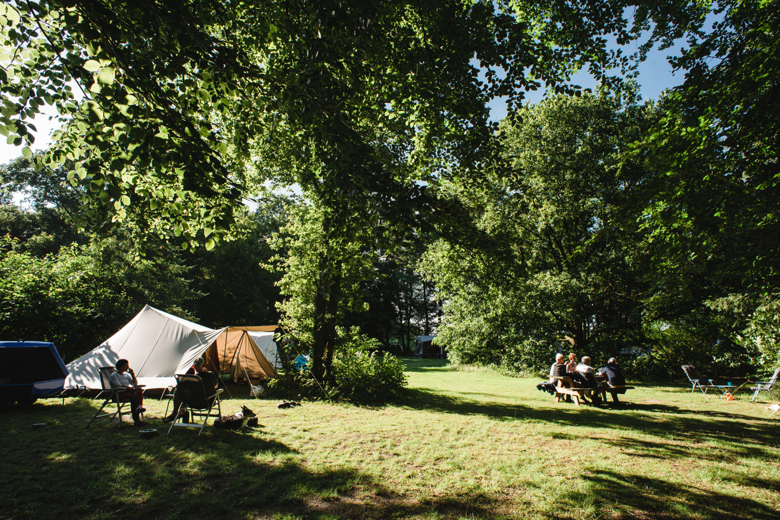 Naturcampingplatz Oude Willem Foto 2