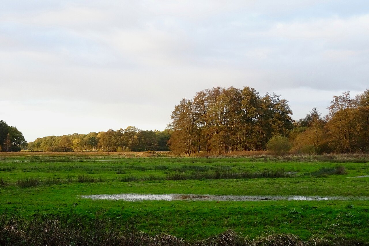 Bachtal der Drentsche Aa